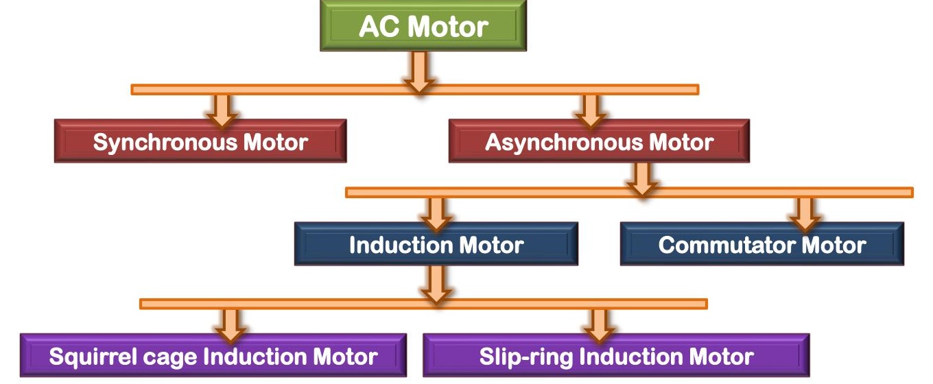 AC Motor classification tree showing Synchronous Motor and Asynchronous Motor